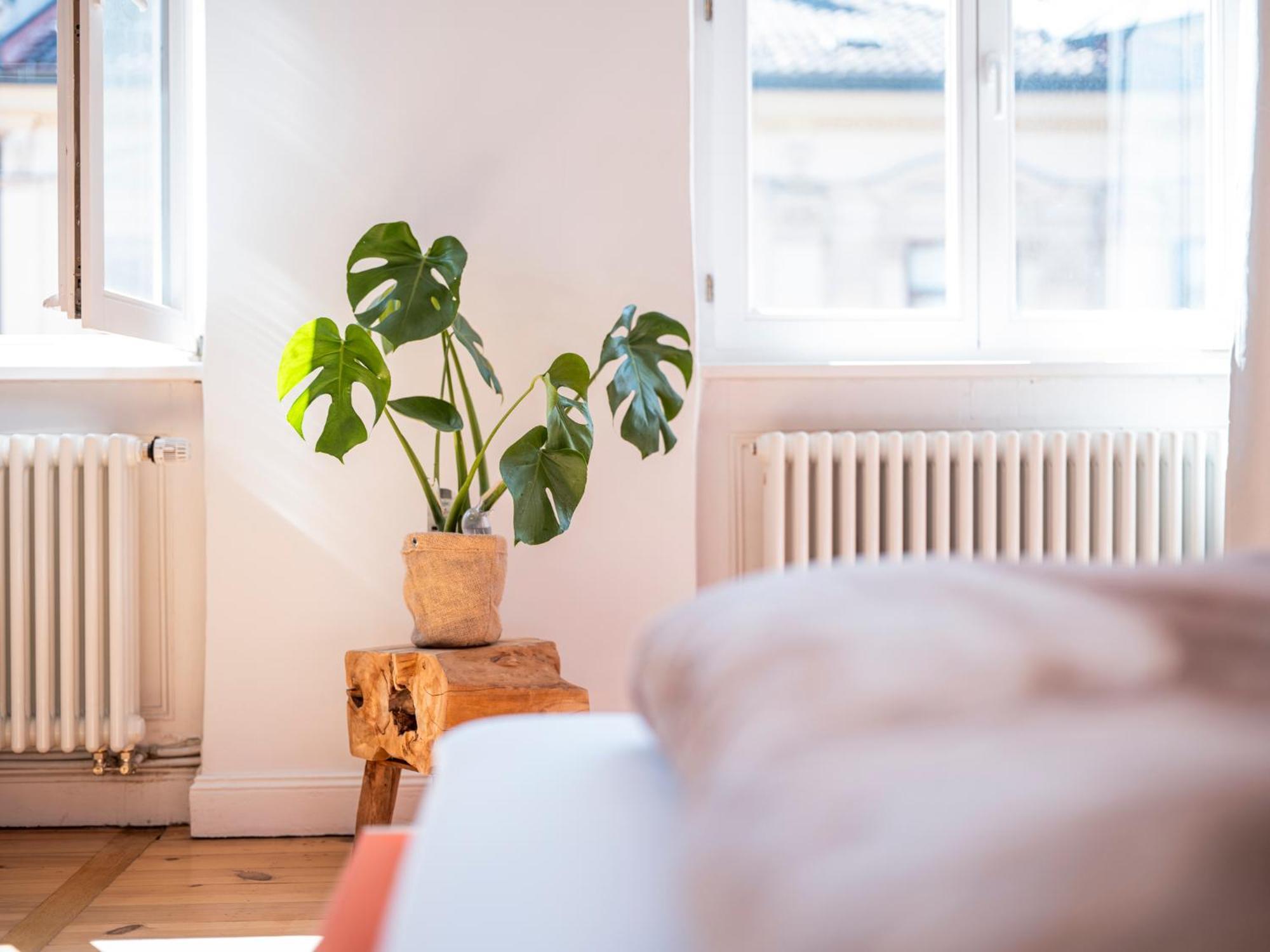 Bunter Hund Apartments - Balkon, Zentral, Geraeumig Bamberg Luaran gambar